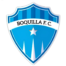 bfc logo